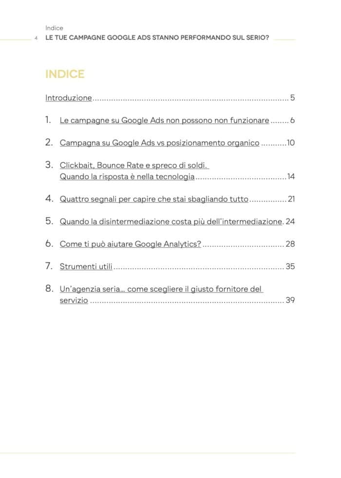 Le tue campagne Google Ads stanno performando sul serio? - immagine 3