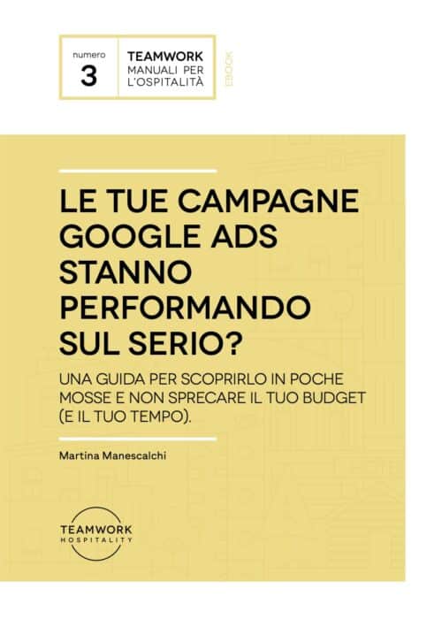 Le tue campagne Google Ads stanno performando sul serio?